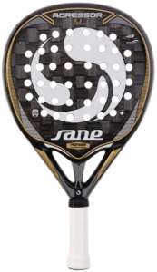 Sane Aggressor IV